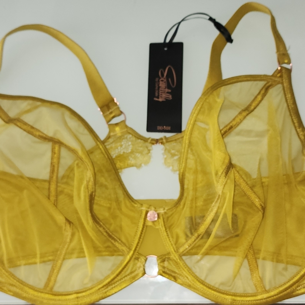NWT Scantily Plunge Bra 36GG in Ochre
